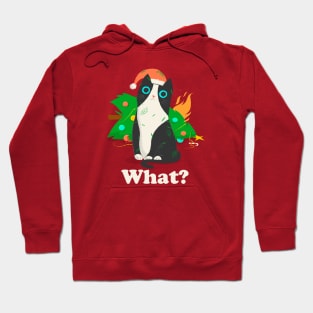 Cat What - Christmas Tree Hoodie